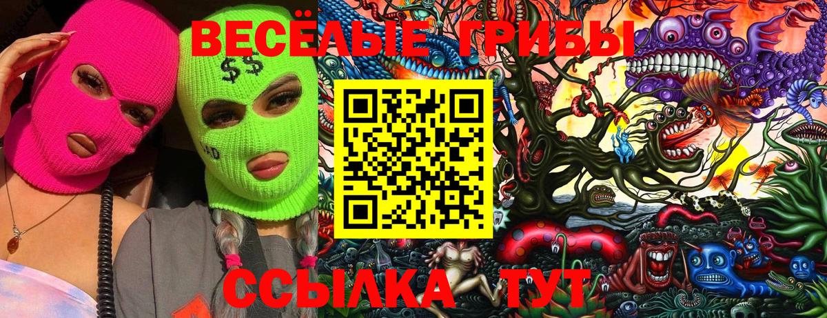 Псилоцибиновые грибы Cubensis Краснодар